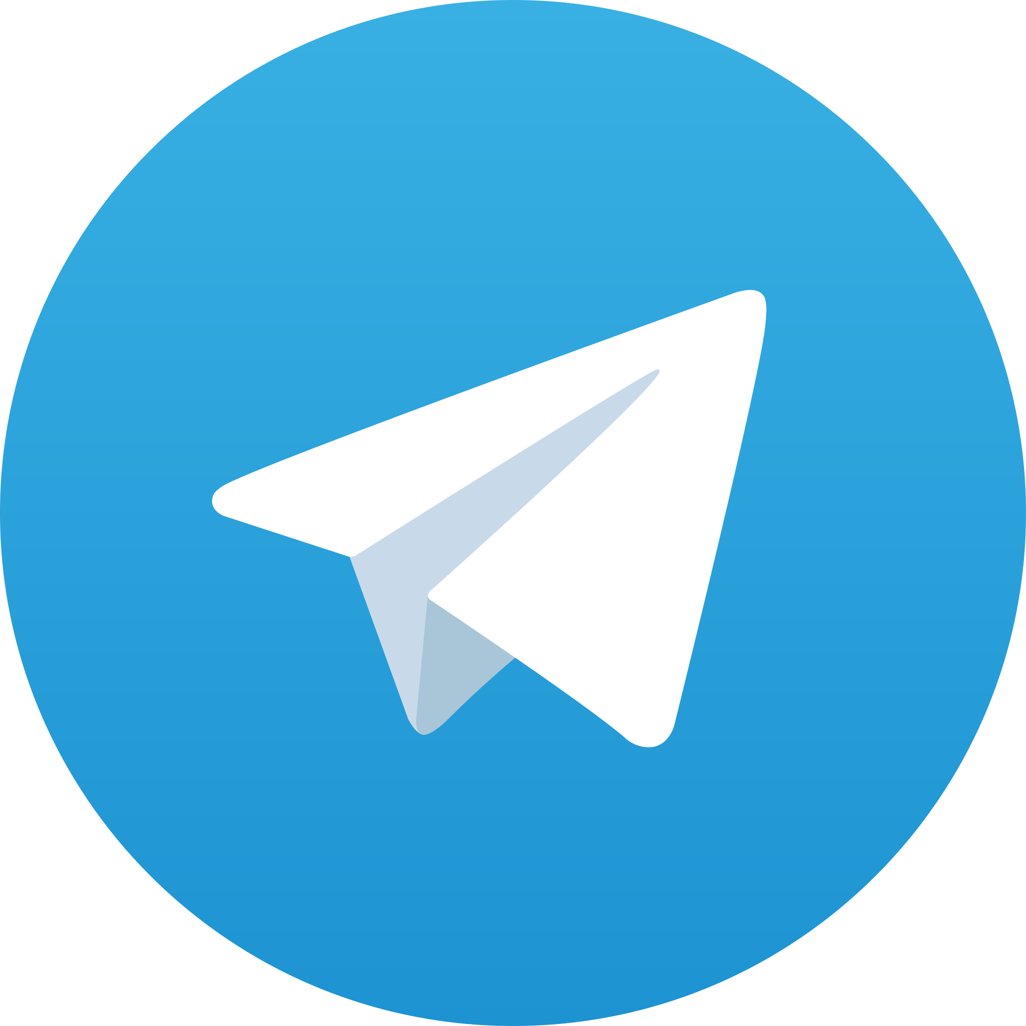 Telegram Bot Development Services